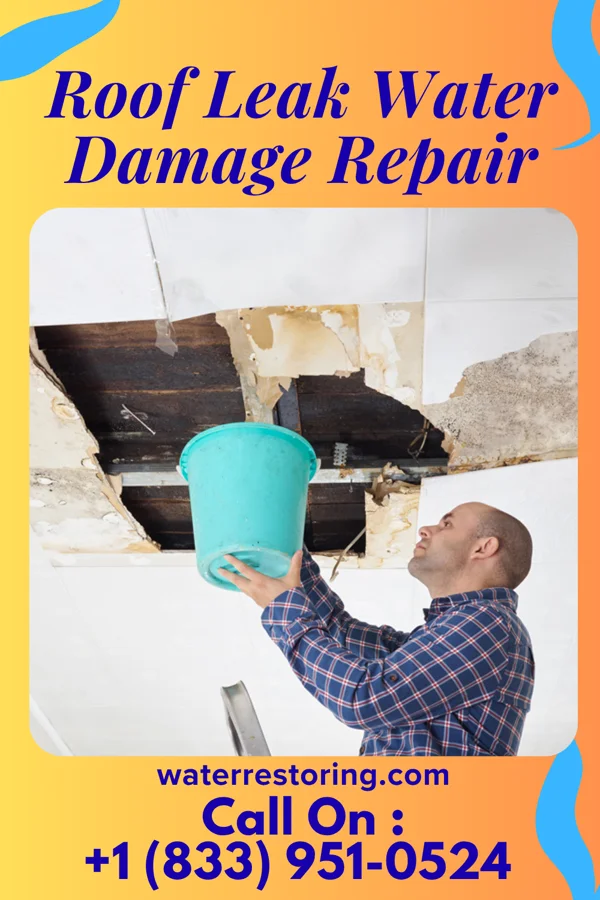 Roof Leak Water Damage Repair in Clermont, FL