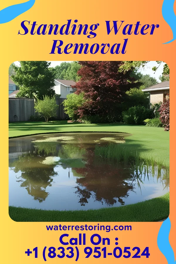 Standing Water Removal in Clermont, FL